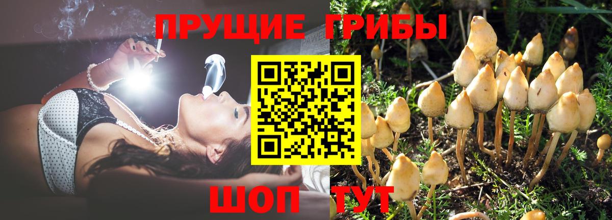 Касимов  Галлюциногенные грибы Magic Shrooms  Вход с VPN 