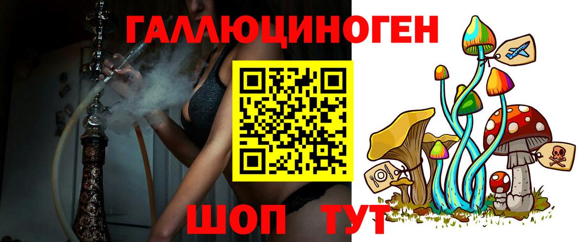 Псилоцибиновые грибы Psilocybe Касимов